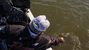 How to Fish the Biffle Bug