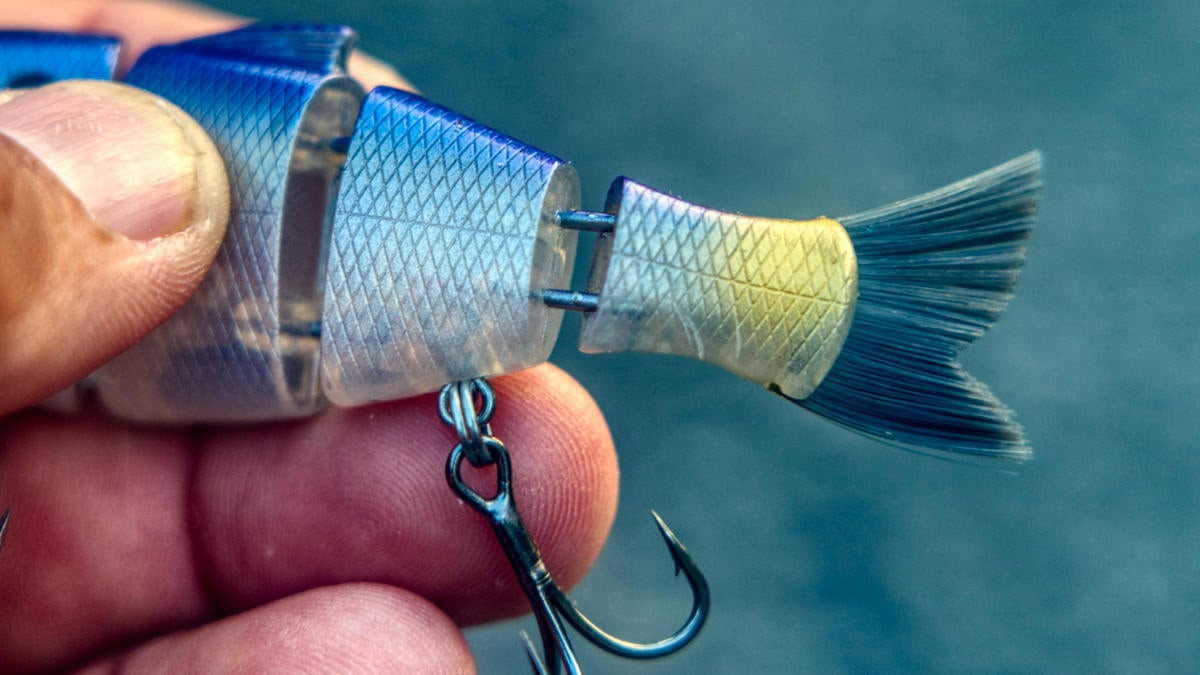 Catch Co. Bucca Baby Bull Shad Review - Wired2Fish
