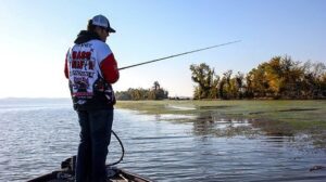 How to Fish Grass for Bass