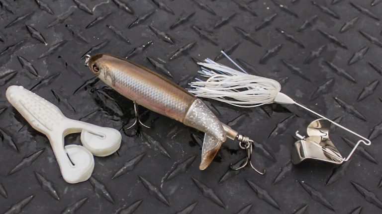 4 Bass Fishing Baits to Use in the Rain