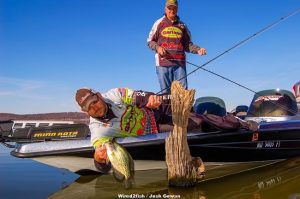 Power Jigging Crappie in Cover