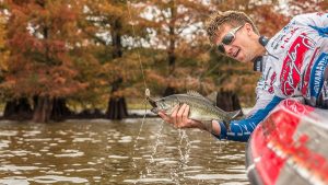 Why to Fish Secondary Cover this Fall