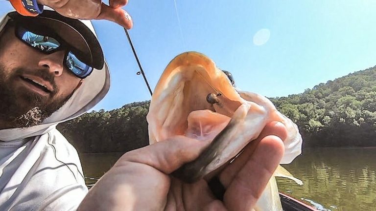 Spybait vs. Small Swimbait: When and Where to Use Each One
