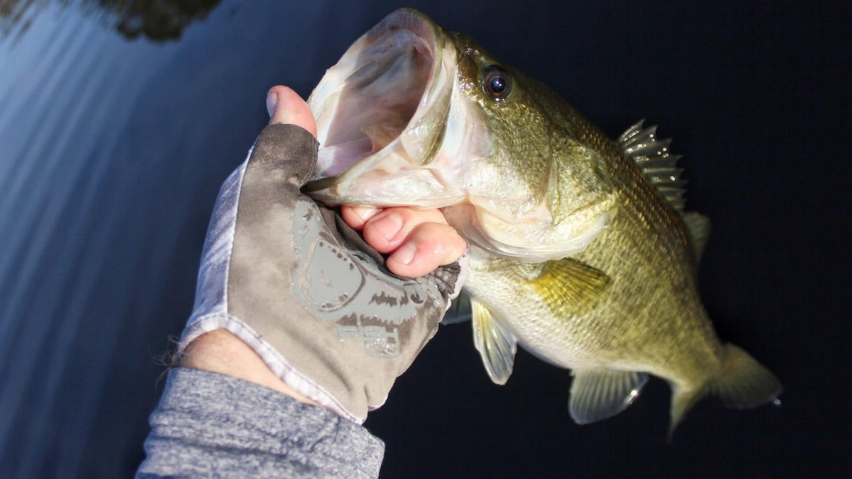 Fish Monkey Stubby Guide Gloves Review - Wired2Fish