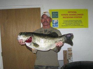 16.02 pound bass caught at O.H. Ivie…