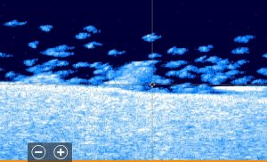 How to Get Clearer Images on Your Fish Finder Screen Shots