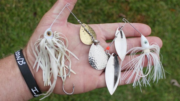 4 Bass Fishing Baits to Use in the Rain