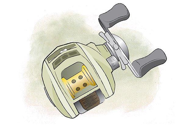 A Beginner’s Guide to Bass Fishing Reels