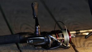 Shimano Stradic Ci4+ Spinning Reel Review