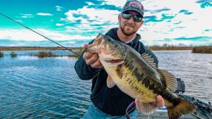 Bass Fishing Worm Tips for Early Prespawn Grass