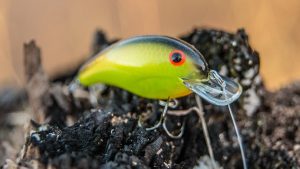 Bandit 100 Series Crankbait Review