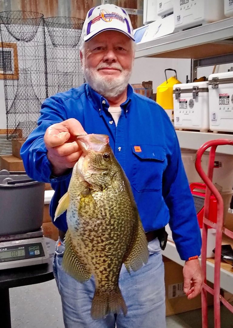 Two Nearly Record Crappie Caught in Louisiana