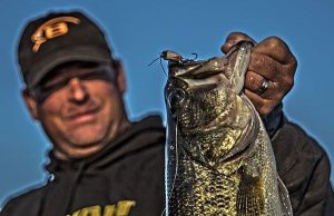 Are You Fishing Your Lipless Crankbaits Correctly?