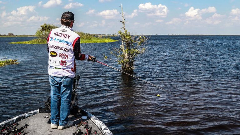 How to Easily Select the Best Squarebill Bass Crankbait