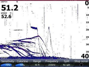 Clean Up Your Fish Finder’s Image with These Settings