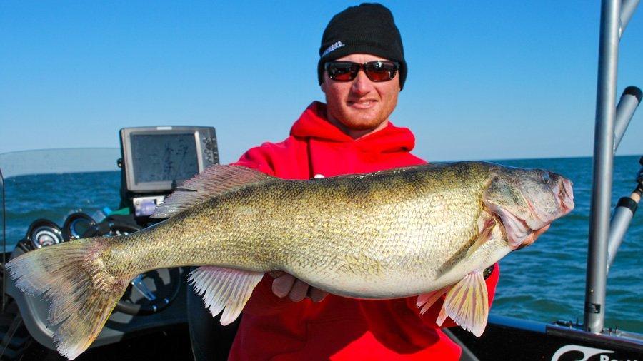 3 Most Important Factors for Spring Walleyes - Wired2Fish