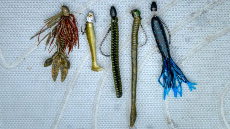 Proven Baits for Tough Bass Fishing Conditions