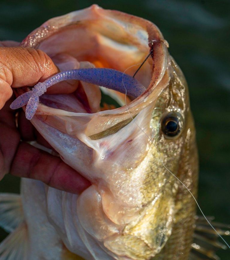 DUO Realis V-TailShad Review