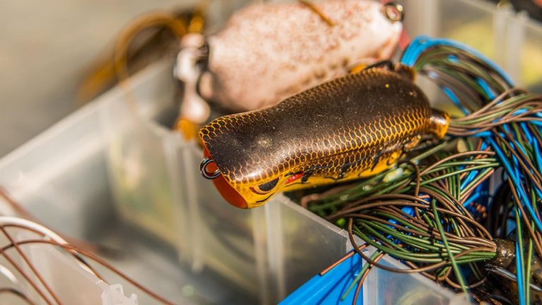 A Unique and New Way to Store Bass Fishing Frogs