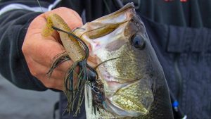 Pro Tips on Vibrating Jigs for Bass in Grass