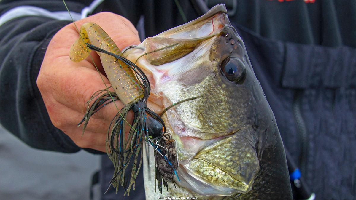 Pro Tips on Vibrating Jigs for Bass in Grass - Wired2Fish