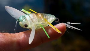 DUO Realis Shinmushi Cicada Bug Review