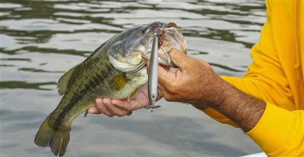 Tweaking Prop Baits for Better Bass Fishing