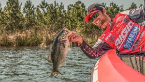 The Making of a Great Bass Angler