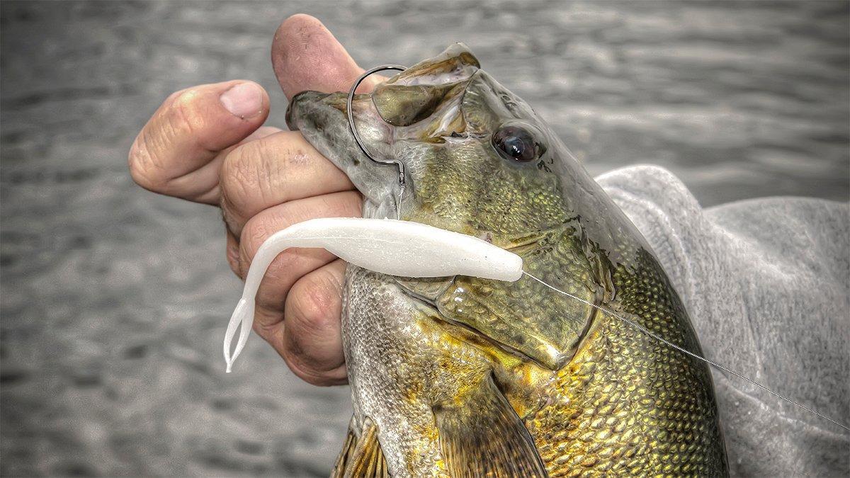 7 Ways to Double Up to Catch More Bass - Wired2Fish