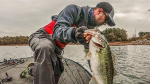 3 Must-Try Hotspots for Coldwater Bass