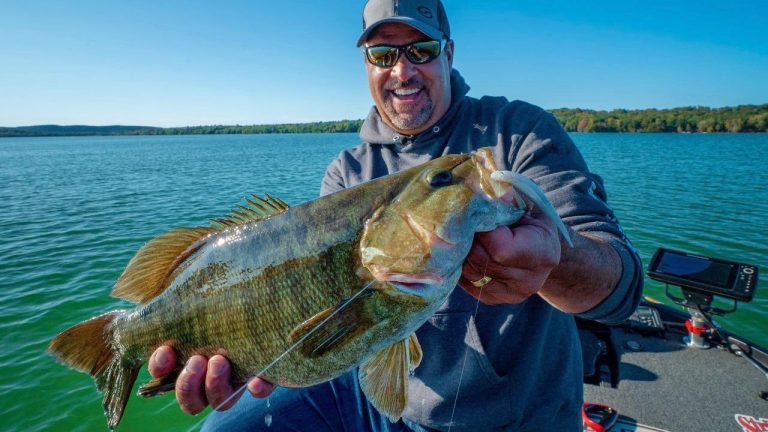 The Best All-around Smallmouth Bass Presentation?