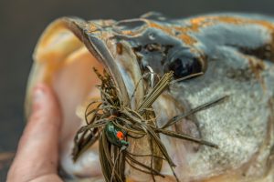 Flipping a Jig for Prespawn Bass