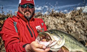 Is Wood Good For Winter Bass Fishing?