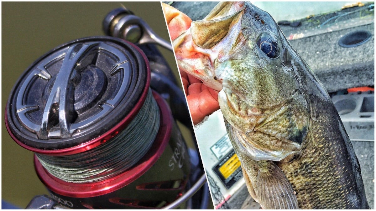 Shimano Stradic Ci4+ Spinning Reel Review - Wired2Fish
