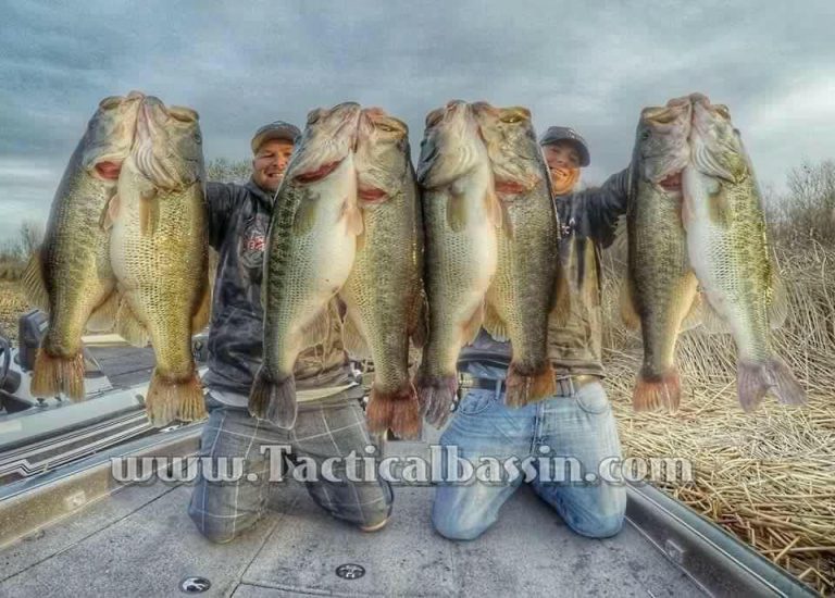 Is Clear Lake the Best Big Bass Lake?