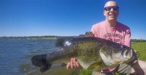 Break Lines are Pond Bass Magnets