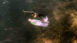 4 Tips to Increase Spinnerbait Fishing Success