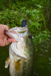 Strike King Heavy Cover Flipping Jig