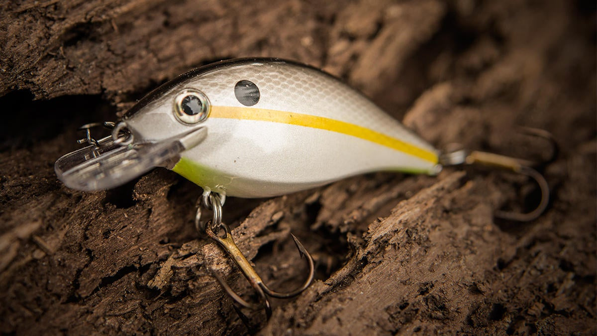 Smallest CrankBait Ever  One Day Build to Catch 