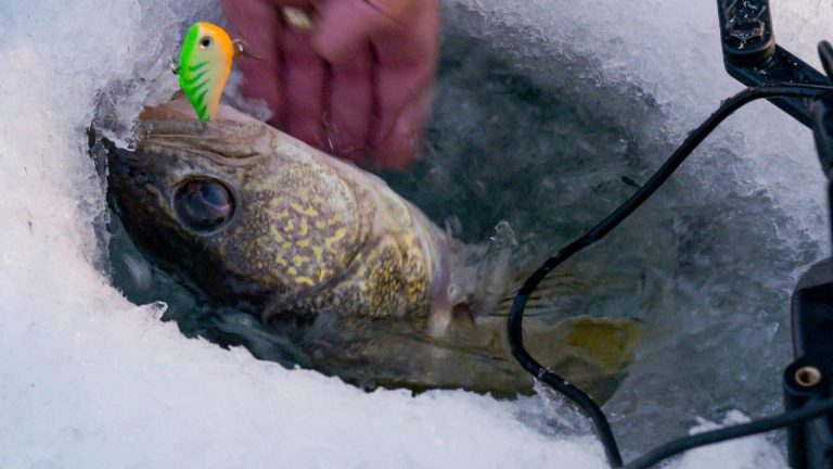 The Evolution of Lipless Crankbaits in Ice Fishing