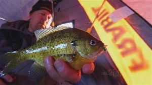 Choosing the Right Combo for Ice Fishing