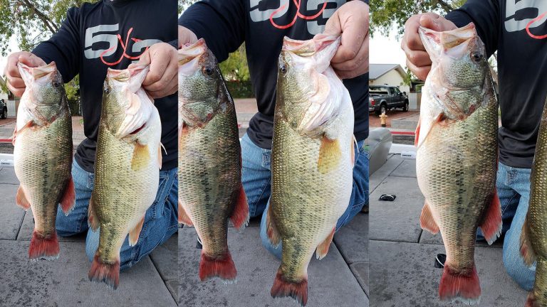 Anglers Charged with Cheating in Bass Tournament in Utah