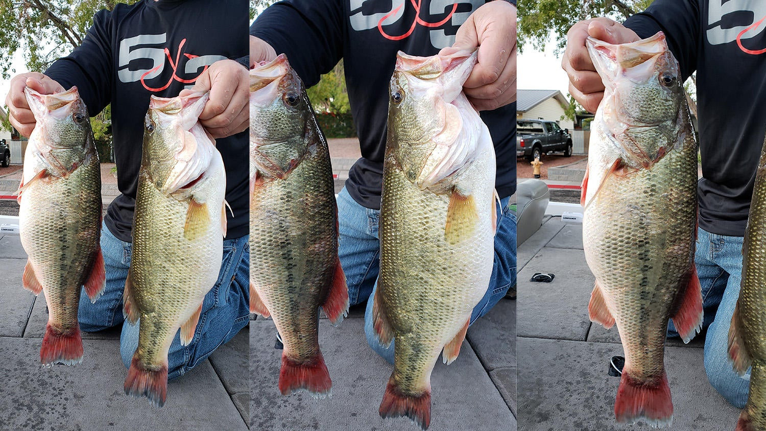Anglers Charged with Cheating in Bass Tournament in Utah - Wired2Fish