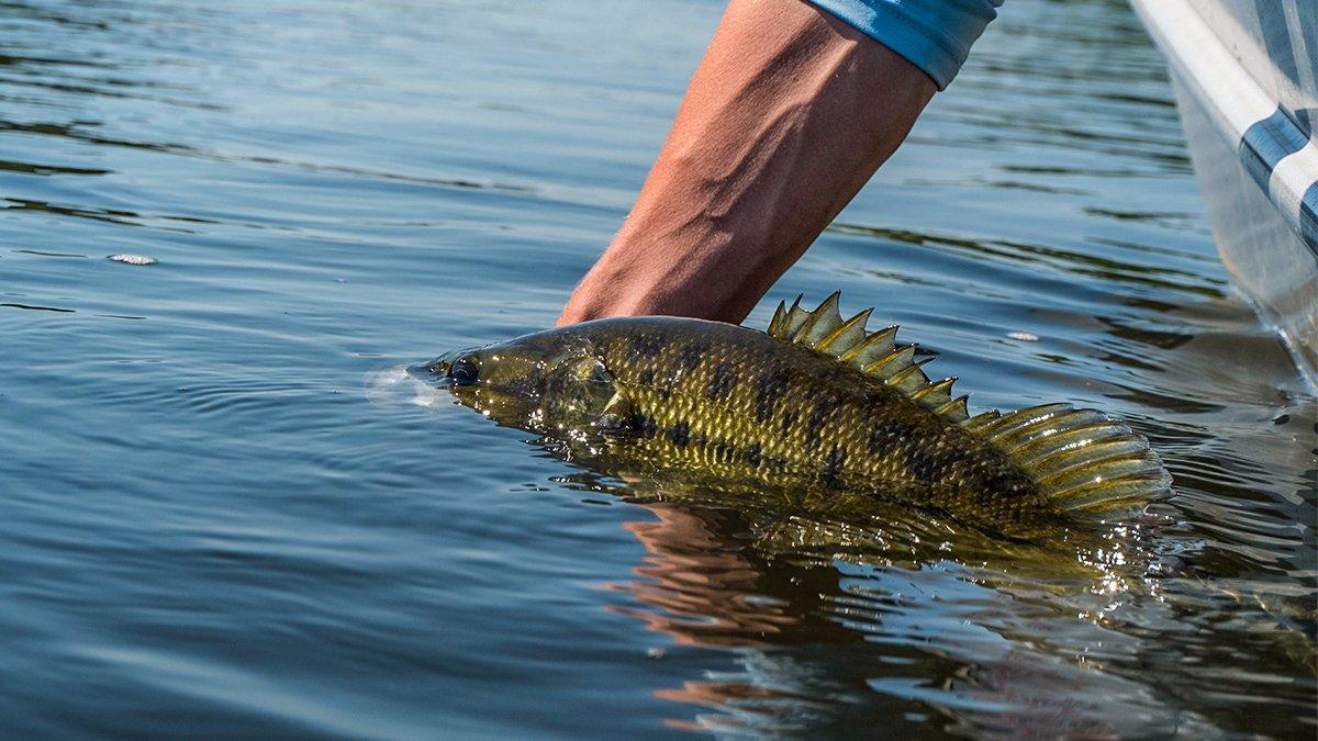 Learn the 3 Level Rule of Fishing Current - Wired2Fish