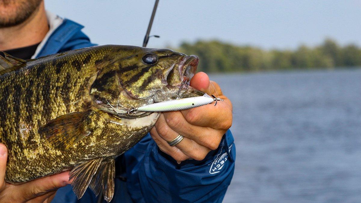 How to Quickly Break Down Northern Lakes - Wired2Fish