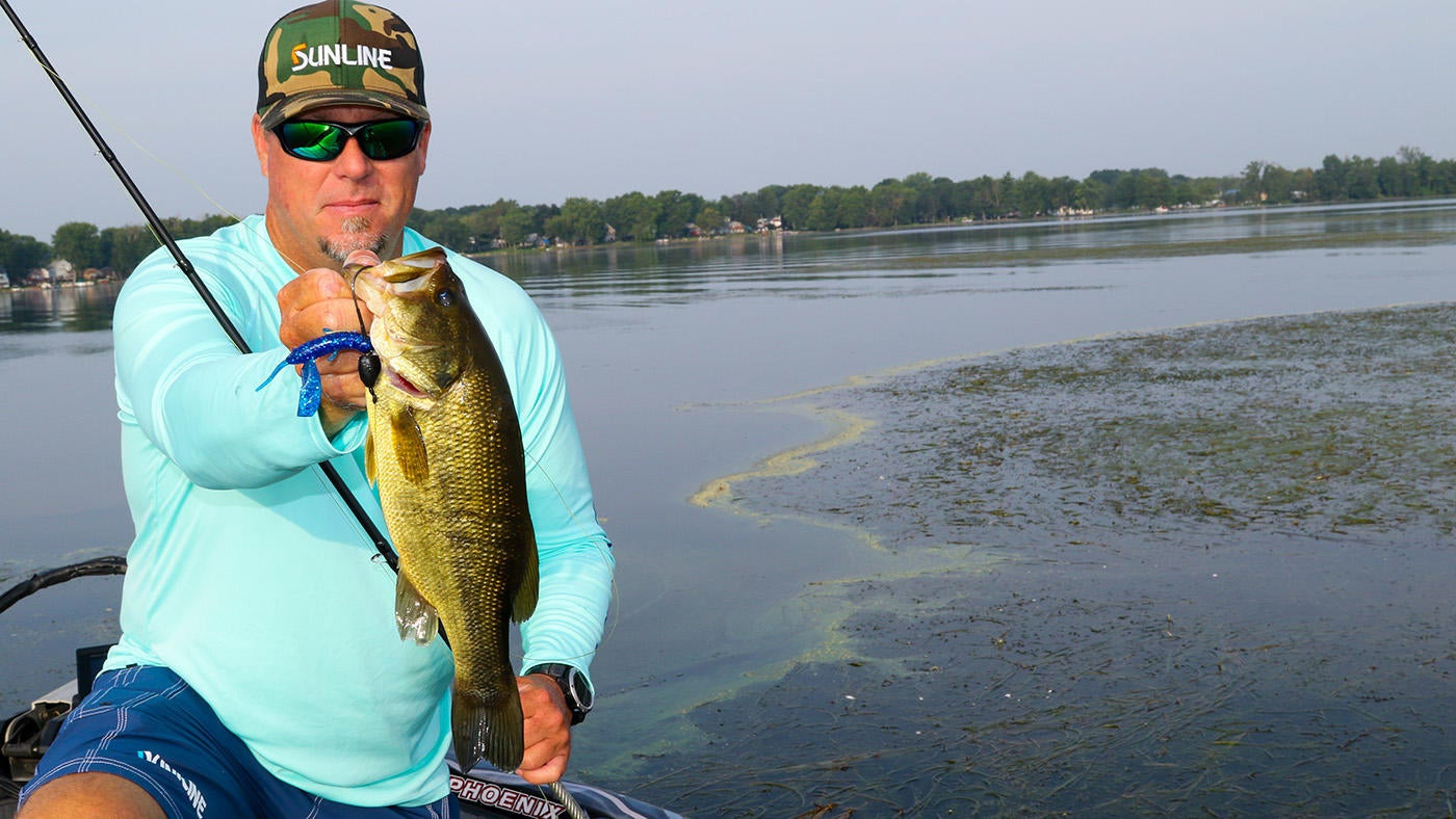 Use Simple Tweaks to Punch Better - Wired2Fish