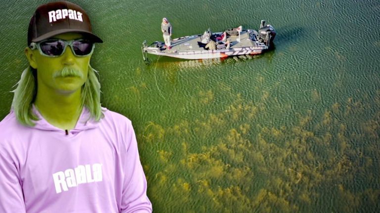 12 Tips to Master Bass Fishing Grass with Seth Feider