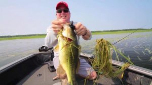 A 60-Second Tip on Hollow-Body Frogs for Bass