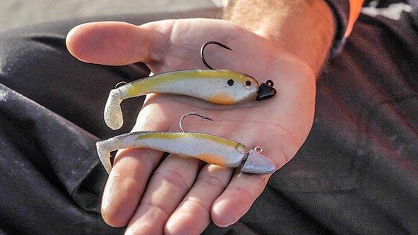 Stripping Hollow Belly Swimbaits for More Action