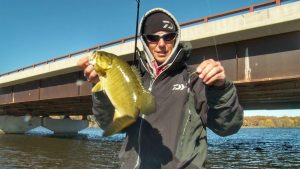 Why You Should Always Stop to Bass Fish a Bridge